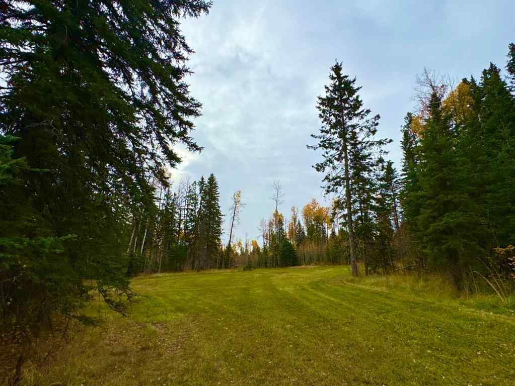 MLS® A2264700 - 119 Meadow Ponds Drive  in Diamond Willow Estates Rural Clearwater County, Land