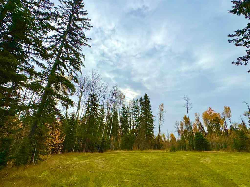 MLS® A2264700 - 119 Meadow Ponds Drive  in Diamond Willow Estates Rural Clearwater County, Land