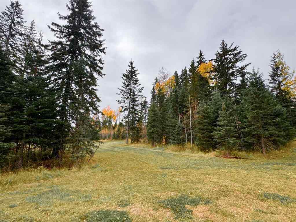 MLS® A2264700 - 119 Meadow Ponds Drive  in Diamond Willow Estates Rural Clearwater County, Land
