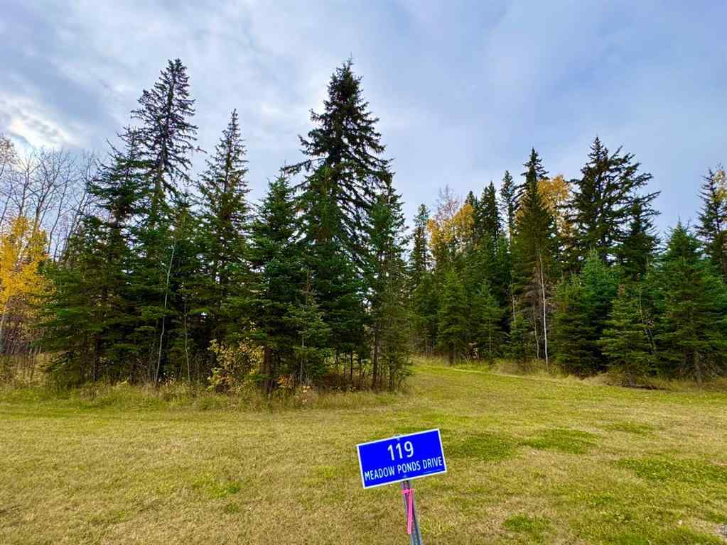 MLS® A2264700 - 119 Meadow Ponds Drive  in Diamond Willow Estates Rural Clearwater County, Land