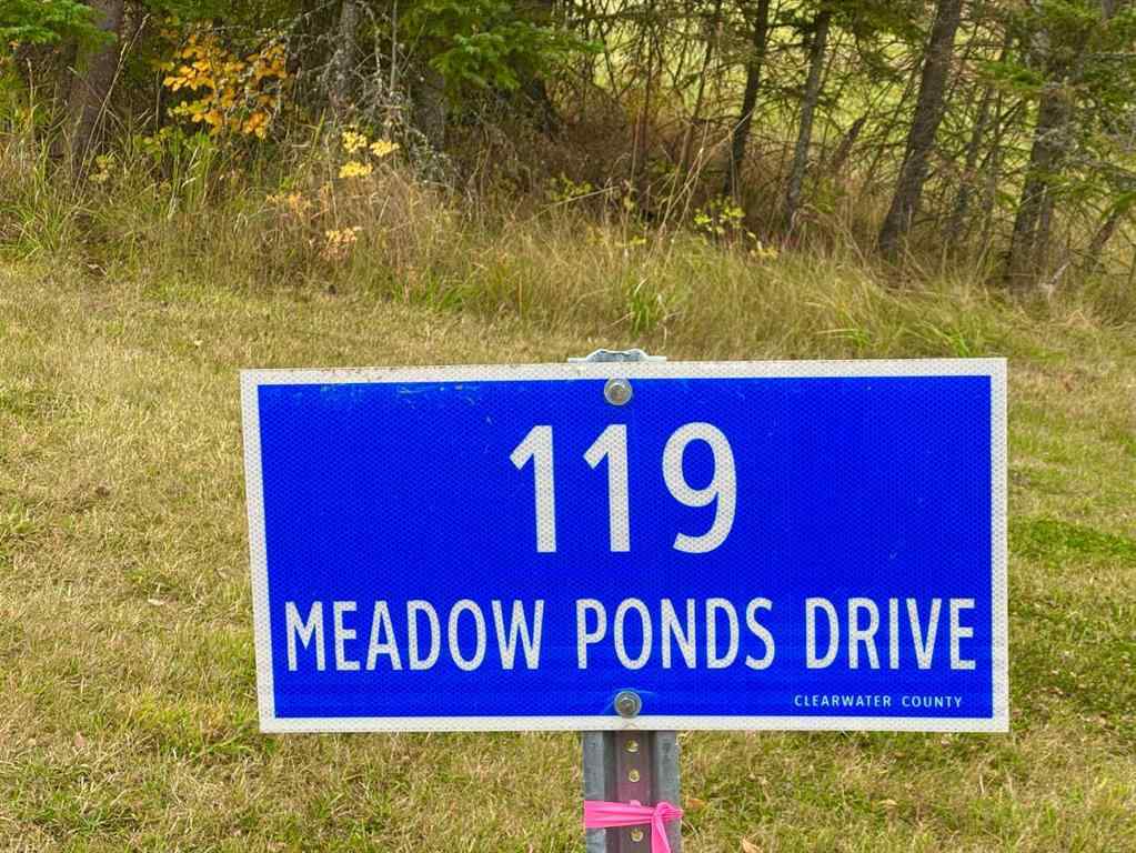 MLS® A2264700 - 119 Meadow Ponds Drive  in Diamond Willow Estates Rural Clearwater County, Land