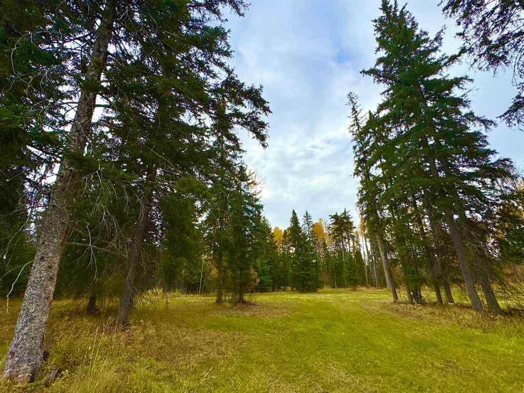MLS® A2264701 - 201 High Timber Place  in Diamond Willow Estates Rural Clearwater County, Land