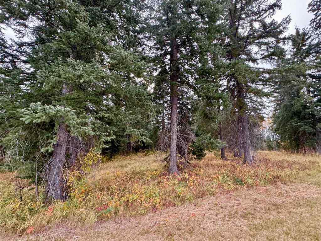 MLS® A2264701 - 201 High Timber Place  in Diamond Willow Estates Rural Clearwater County, Land