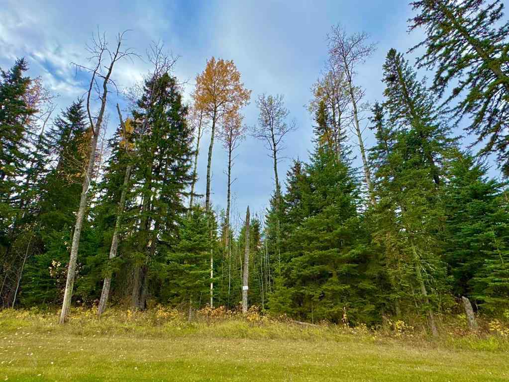MLS® A2264701 - 201 High Timber Place  in Diamond Willow Estates Rural Clearwater County, Land