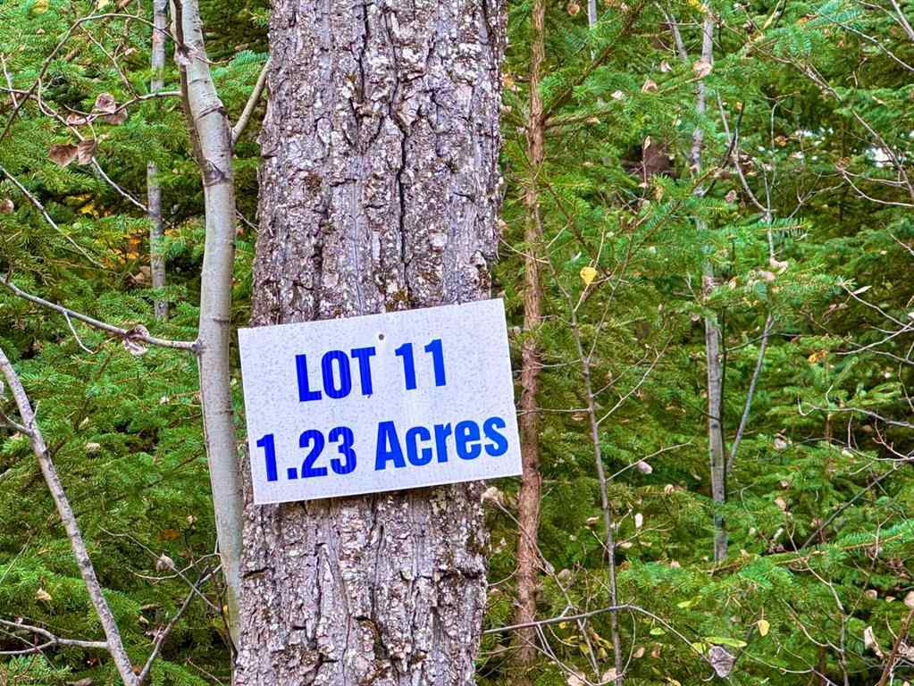 MLS® A2264701 - 201 High Timber Place  in Diamond Willow Estates Rural Clearwater County, Land