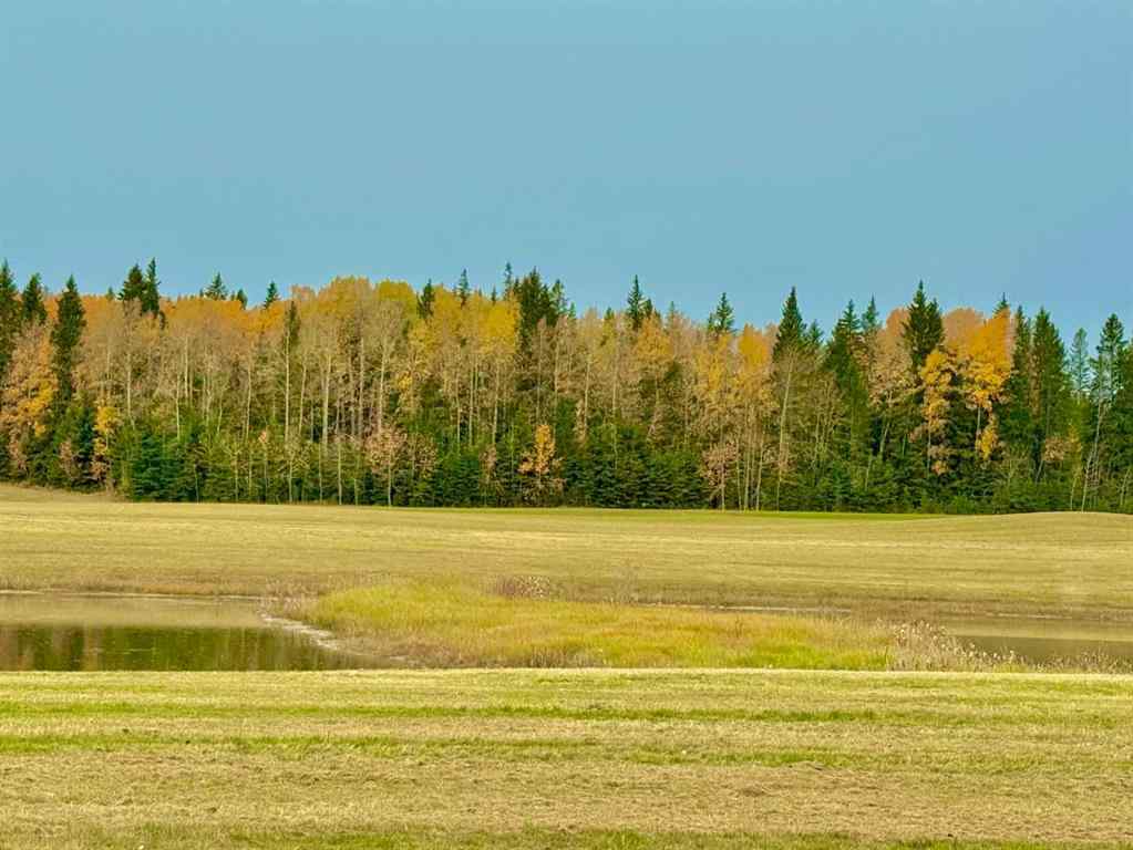 MLS® A2264703 - 409 Valley View Close  in Diamond Willow Estates Rural Clearwater County, Land
