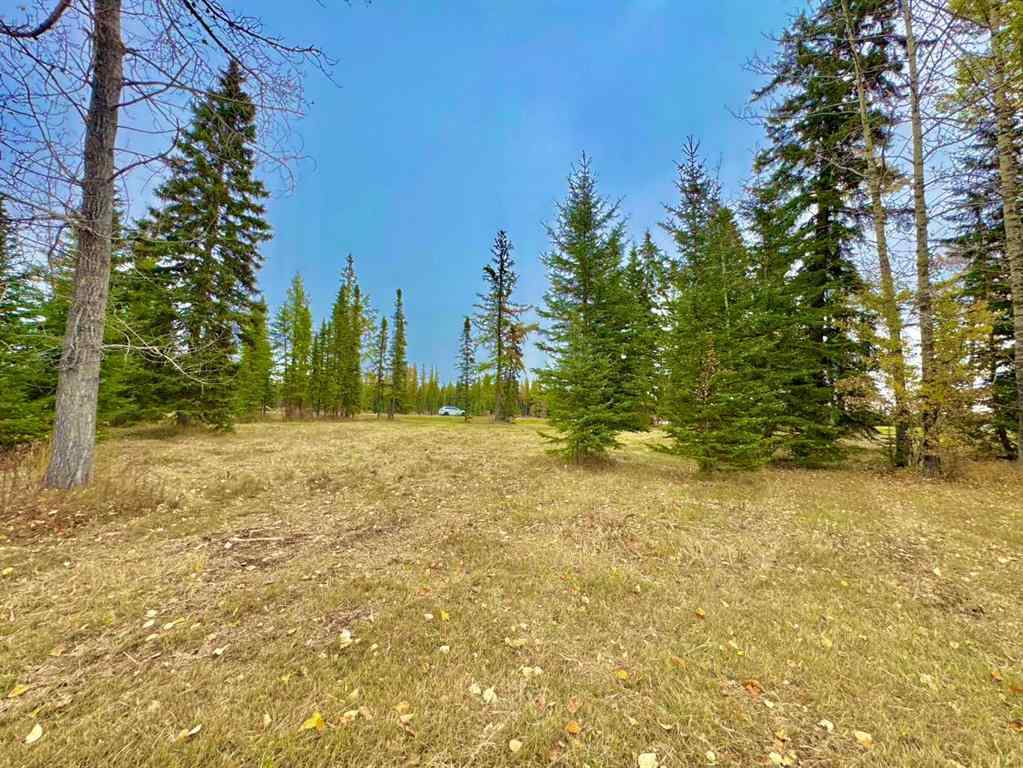 MLS® A2264703 - 409 Valley View Close  in Diamond Willow Estates Rural Clearwater County, Land
