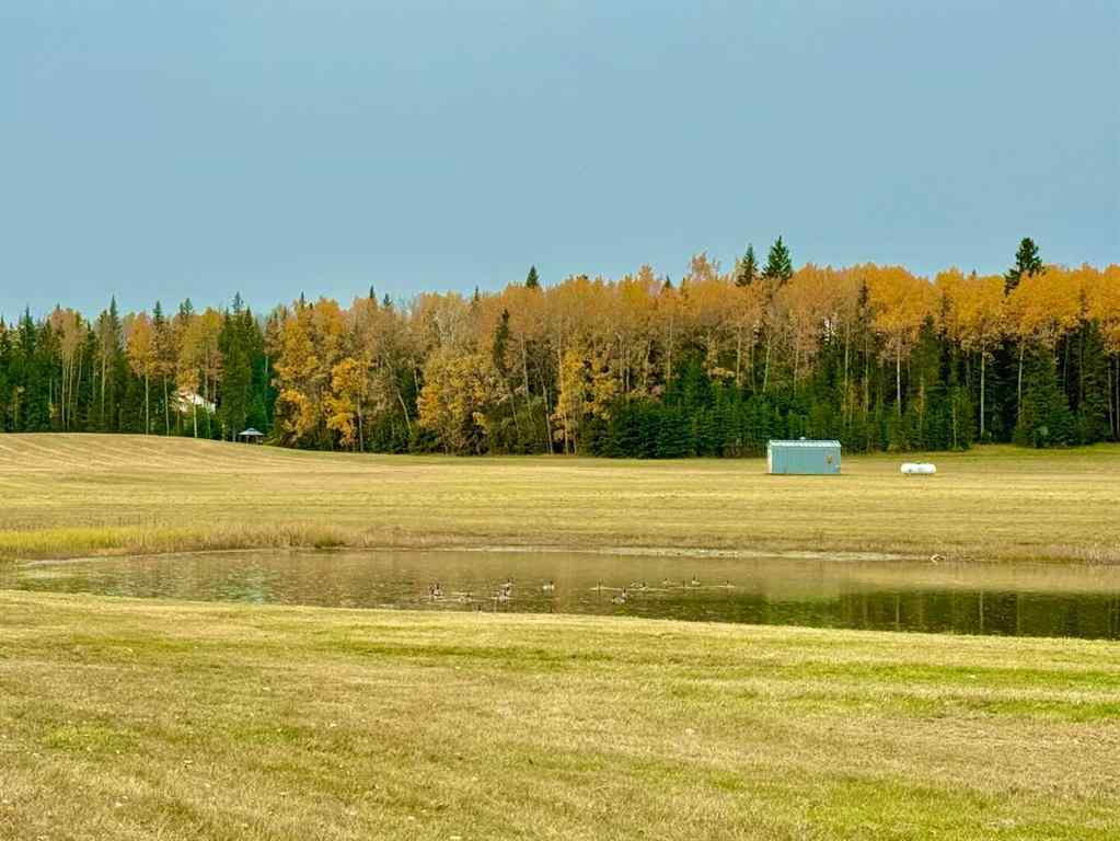 MLS® A2264703 - 409 Valley View Close  in Diamond Willow Estates Rural Clearwater County, Land