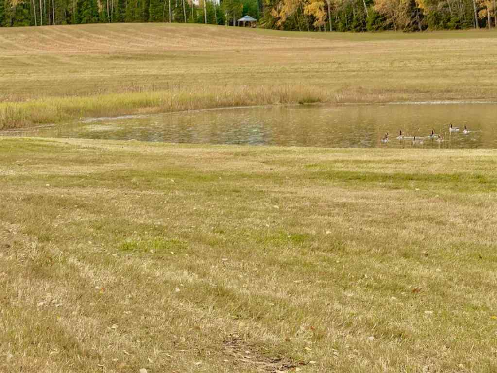 MLS® A2264703 - 409 Valley View Close  in Diamond Willow Estates Rural Clearwater County, Land