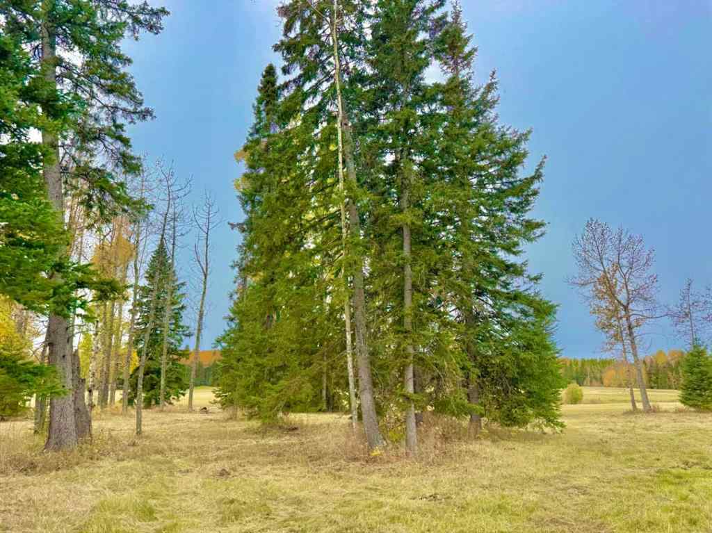 MLS® A2264703 - 409 Valley View Close  in Diamond Willow Estates Rural Clearwater County, Land