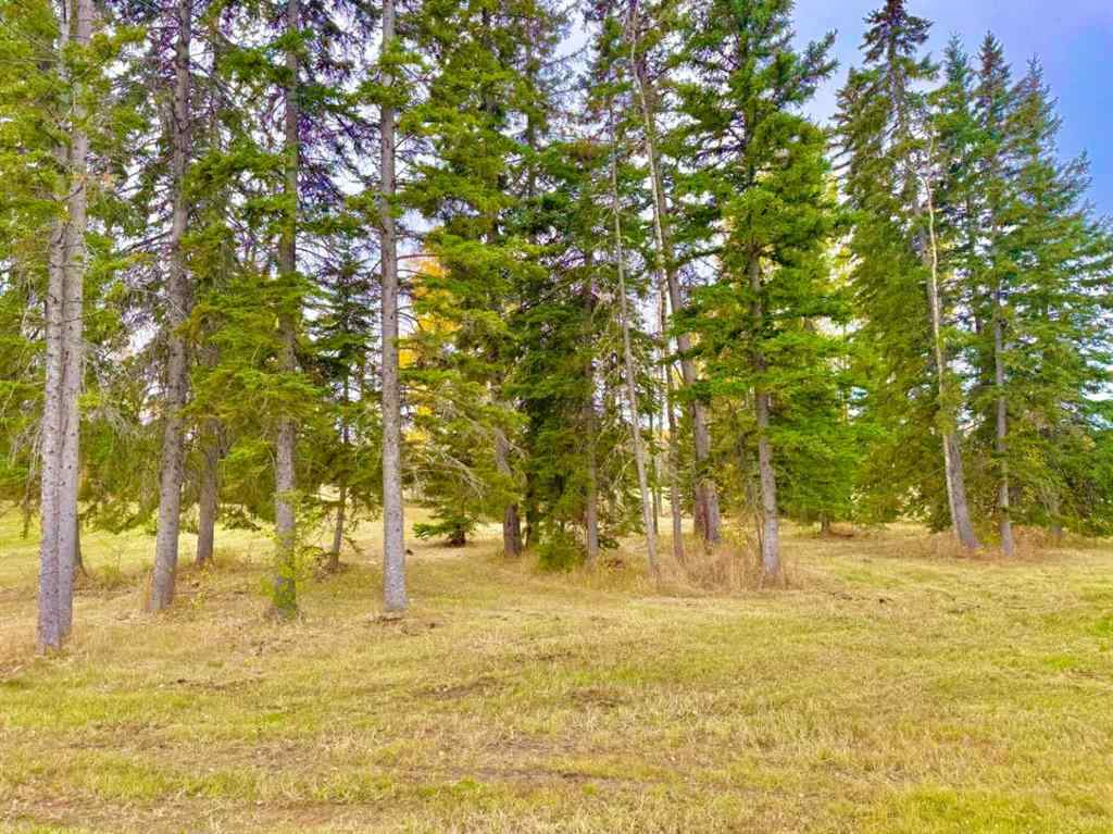 MLS® A2264703 - 409 Valley View Close  in Diamond Willow Estates Rural Clearwater County, Land