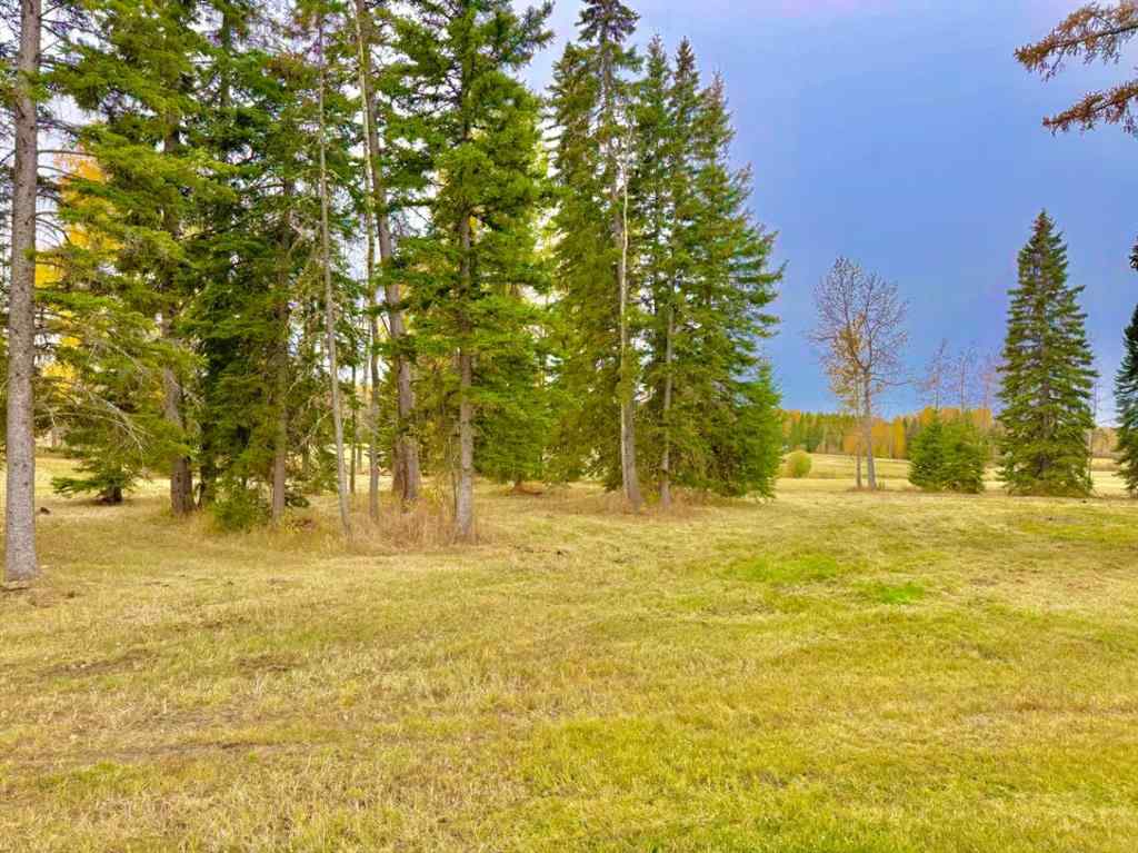 MLS® A2264703 - 409 Valley View Close  in Diamond Willow Estates Rural Clearwater County, Land