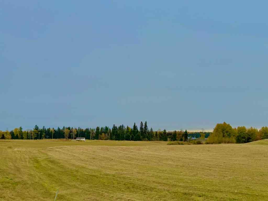 MLS® A2264704 - 420 Valley View Close  in Diamond Willow Estates Rural Clearwater County, Land
