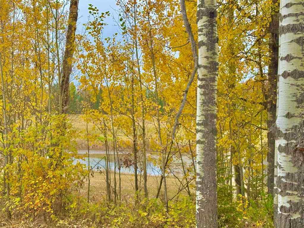MLS® A2264705 - 417 Valley View Close  in Diamond Willow Estates Rural Clearwater County, Land