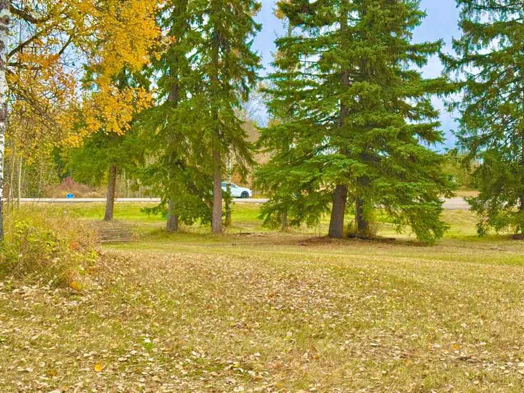 MLS® A2264705 - 417 Valley View Close  in Diamond Willow Estates Rural Clearwater County, Land