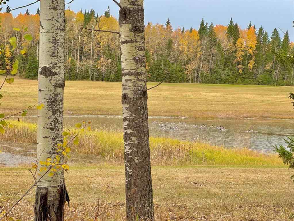 MLS® A2264705 - 417 Valley View Close  in Diamond Willow Estates Rural Clearwater County, Land