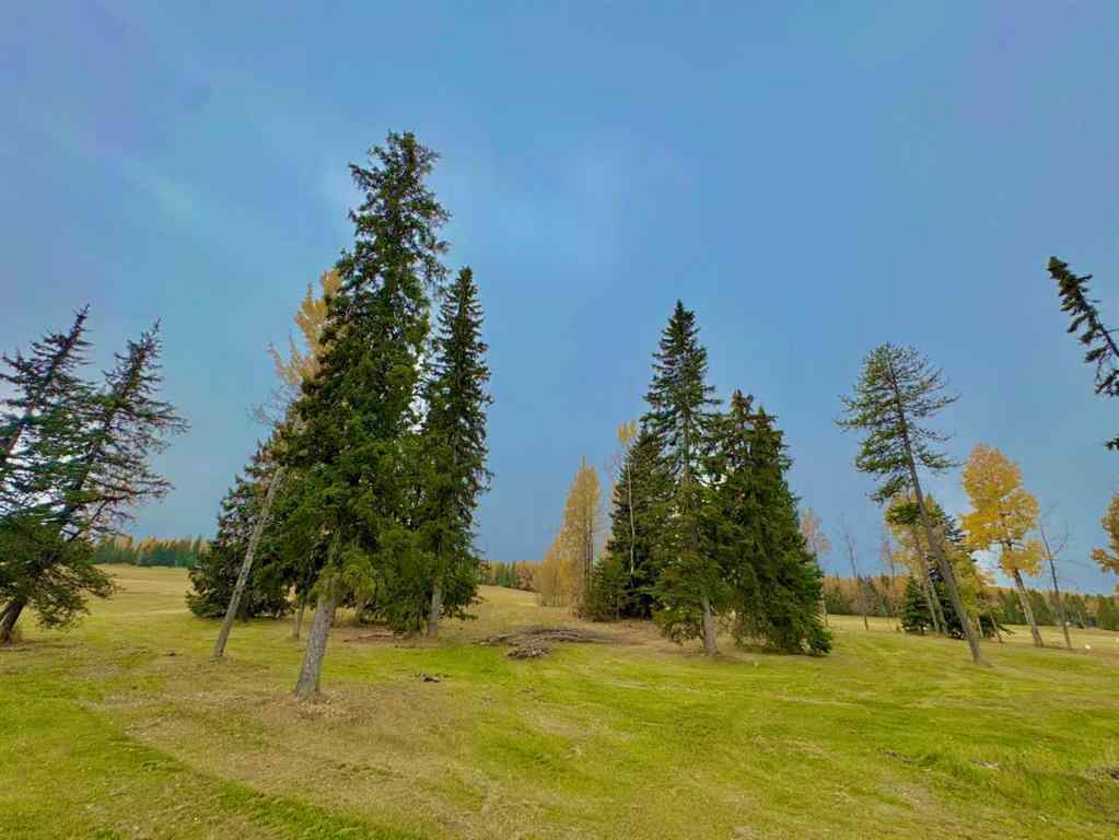 MLS® A2264705 - 417 Valley View Close  in Diamond Willow Estates Rural Clearwater County, Land