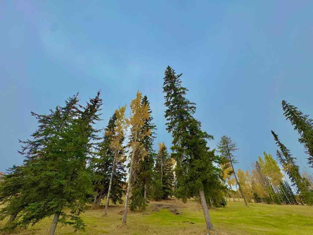 MLS® A2264705 - 417 Valley View Close  in Diamond Willow Estates Rural Clearwater County, Land