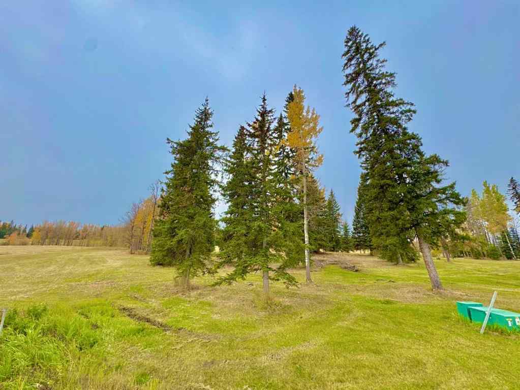 MLS® A2264705 - 417 Valley View Close  in Diamond Willow Estates Rural Clearwater County, Land
