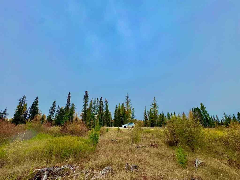 MLS® A2264706 - 408 Valley View Close  in Diamond Willow Estates Rural Clearwater County, Land