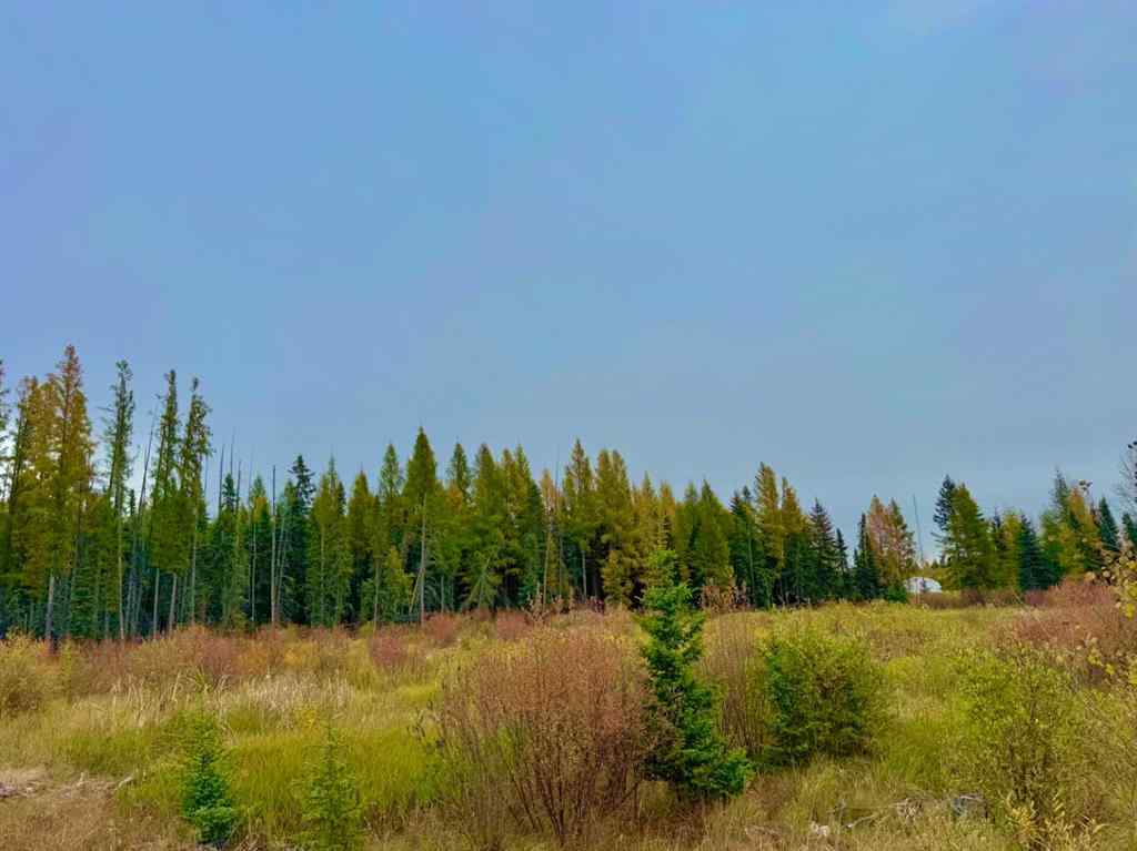 MLS® A2264706 - 408 Valley View Close  in Diamond Willow Estates Rural Clearwater County, Land