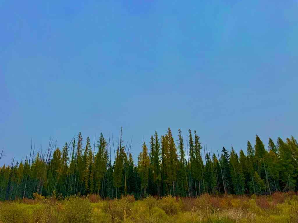 MLS® A2264706 - 408 Valley View Close  in Diamond Willow Estates Rural Clearwater County, Land