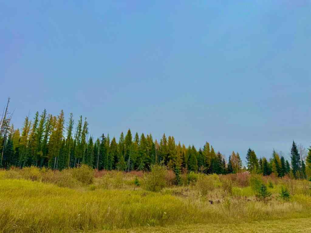MLS® A2264706 - 408 Valley View Close  in Diamond Willow Estates Rural Clearwater County, Land