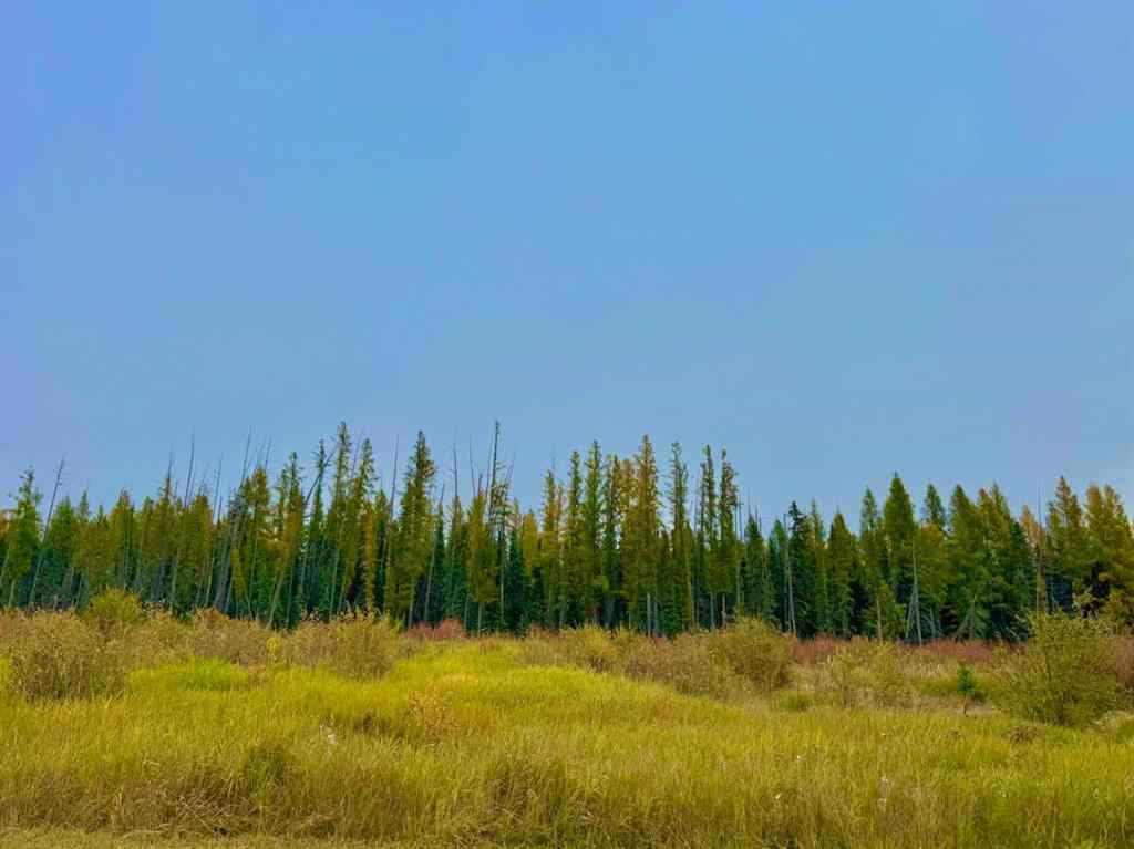 MLS® A2264706 - 408 Valley View Close  in Diamond Willow Estates Rural Clearwater County, Land