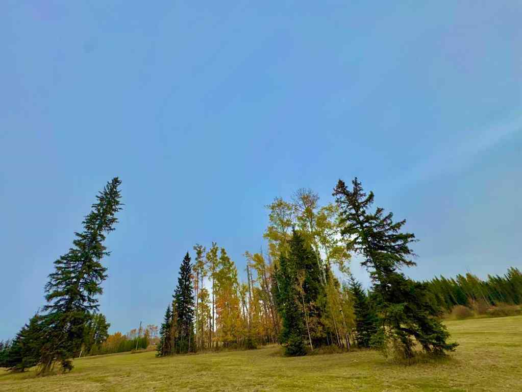 MLS® A2264707 - 316 Valley View Drive  in Diamond Willow Estates Rural Clearwater County, Land