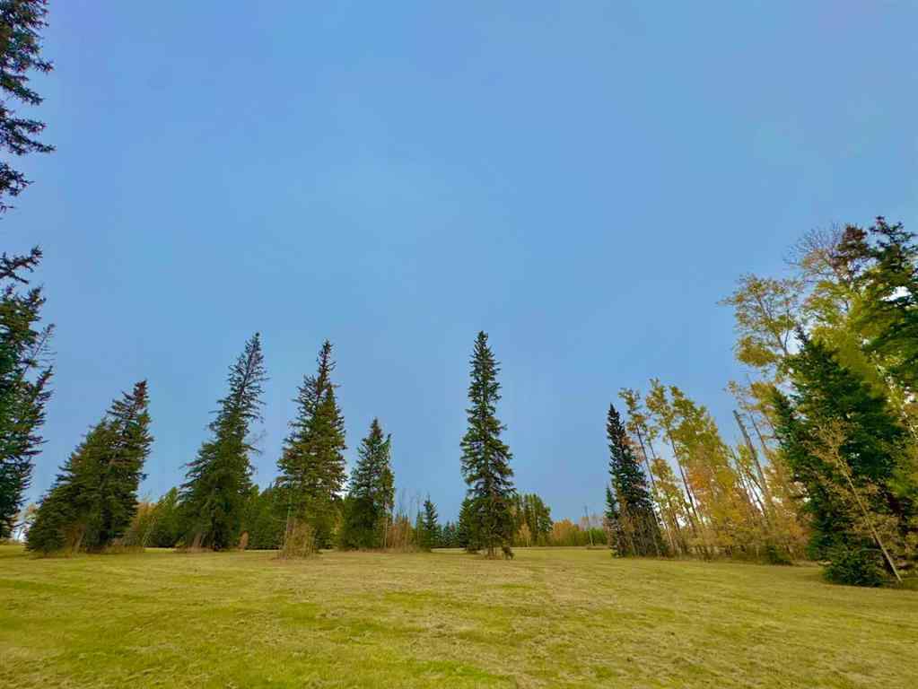 MLS® A2264707 - 316 Valley View Drive  in Diamond Willow Estates Rural Clearwater County, Land