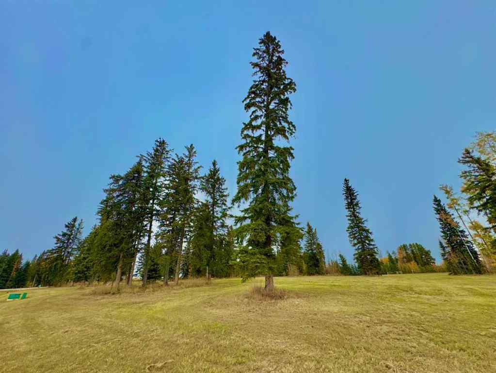 MLS® A2264707 - 316 Valley View Drive  in Diamond Willow Estates Rural Clearwater County, Land