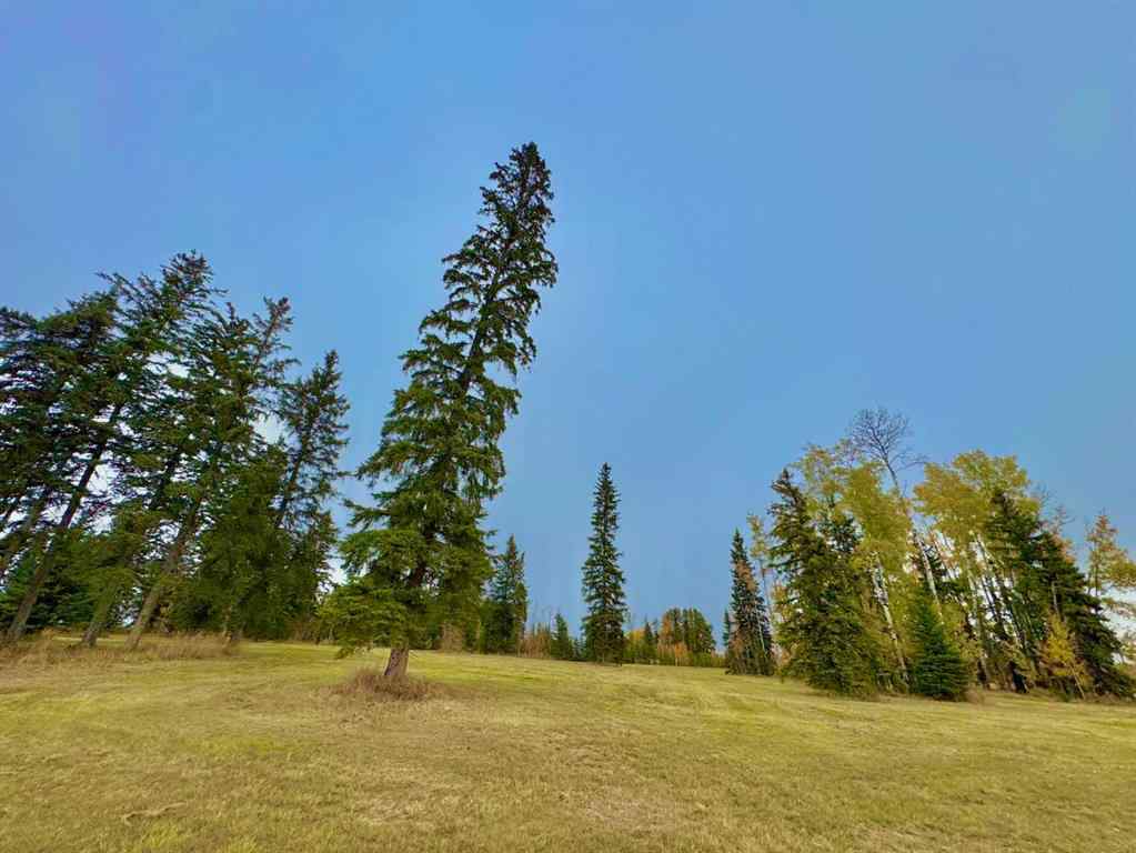 MLS® A2264707 - 316 Valley View Drive  in Diamond Willow Estates Rural Clearwater County, Land