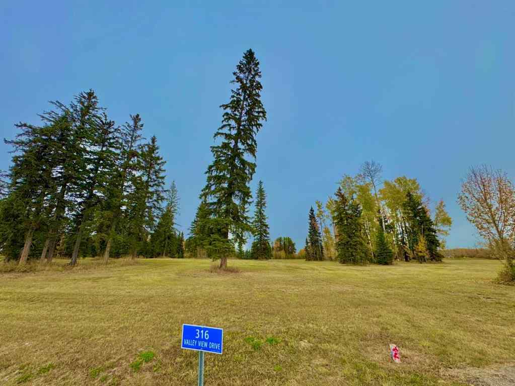 MLS® A2264707 - 316 Valley View Drive  in Diamond Willow Estates Rural Clearwater County, Land