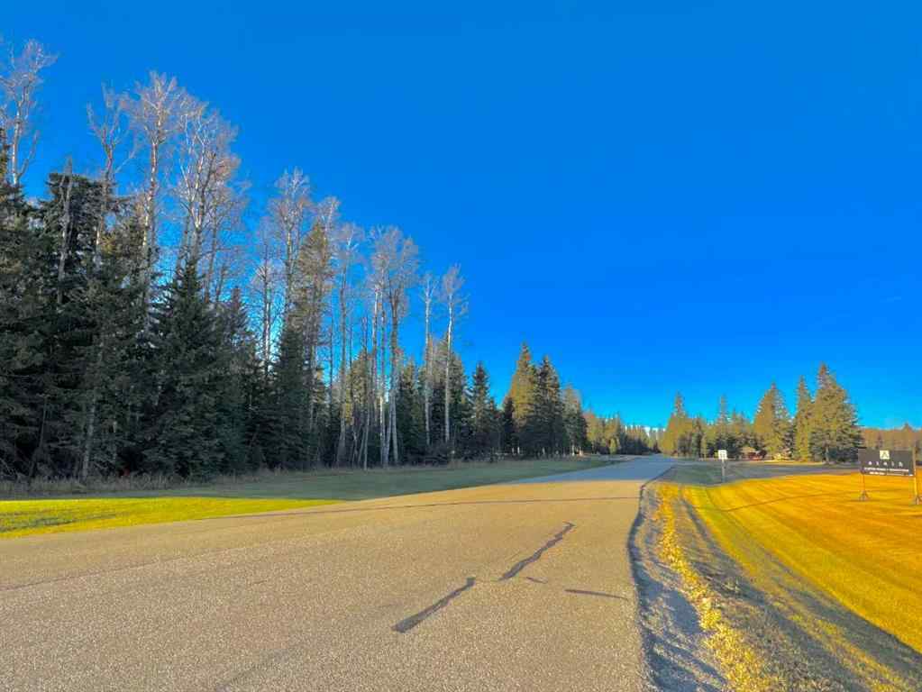 MLS® A2264707 - 316 Valley View Drive  in Diamond Willow Estates Rural Clearwater County, Land
