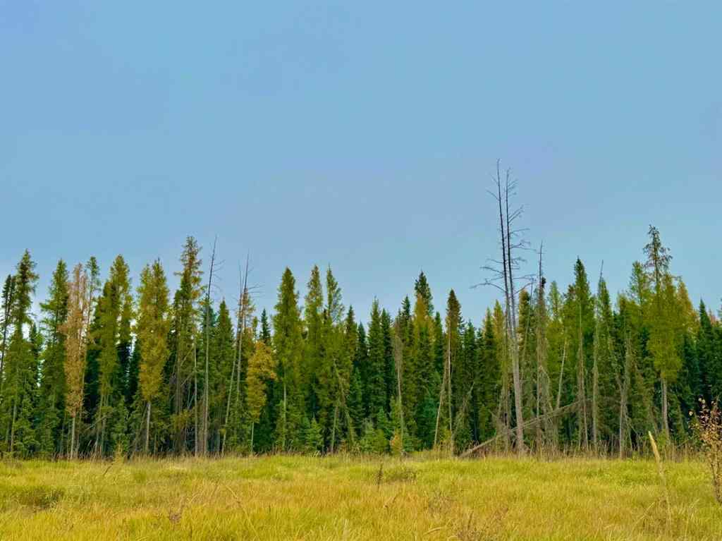 MLS® A2264709 - 400 Valley View Close  in Diamond Willow Estates Rural Clearwater County, Land