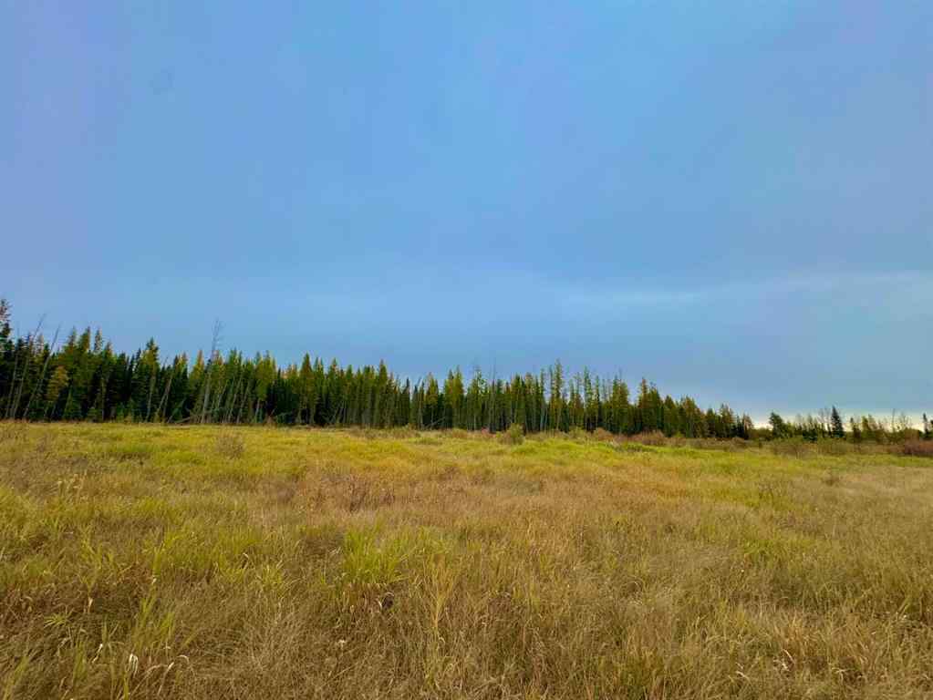MLS® A2264709 - 400 Valley View Close  in Diamond Willow Estates Rural Clearwater County, Land