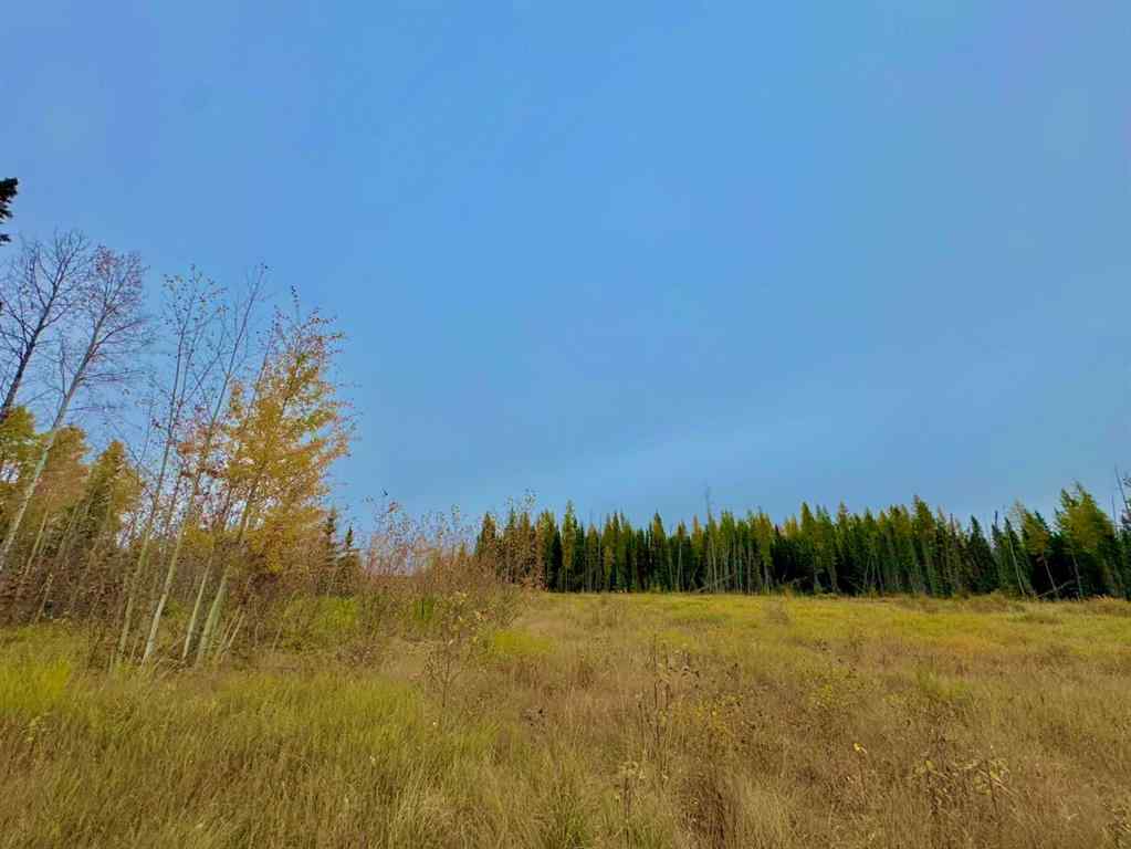 MLS® A2264709 - 400 Valley View Close  in Diamond Willow Estates Rural Clearwater County, Land