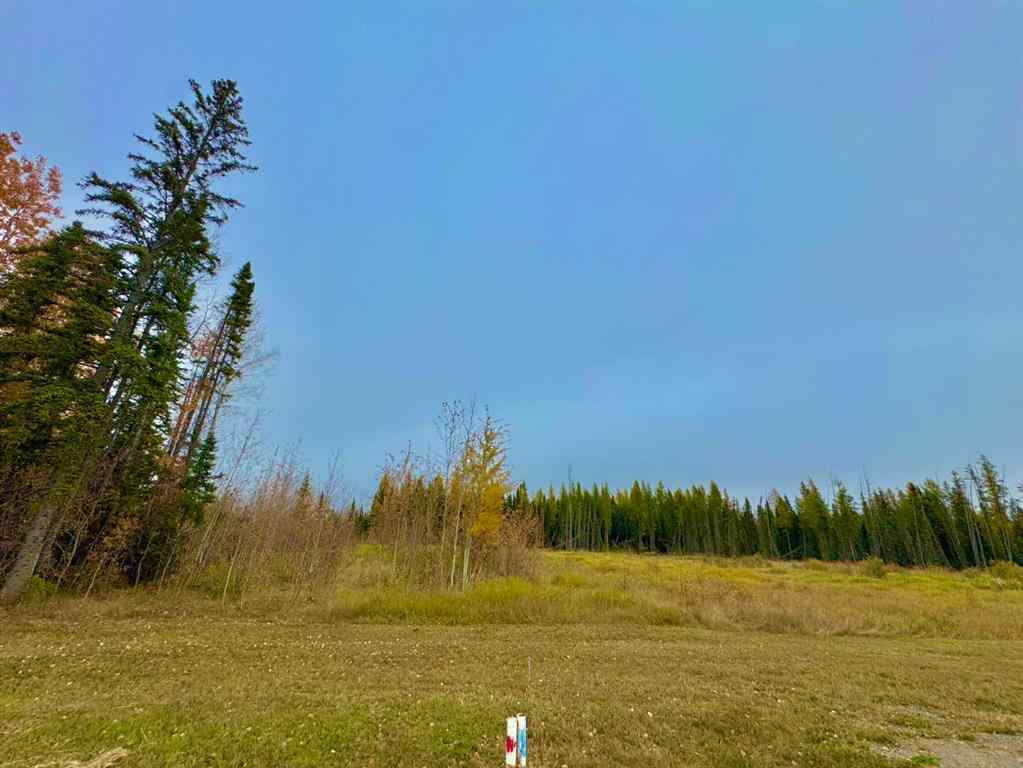 MLS® A2264709 - 400 Valley View Close  in Diamond Willow Estates Rural Clearwater County, Land