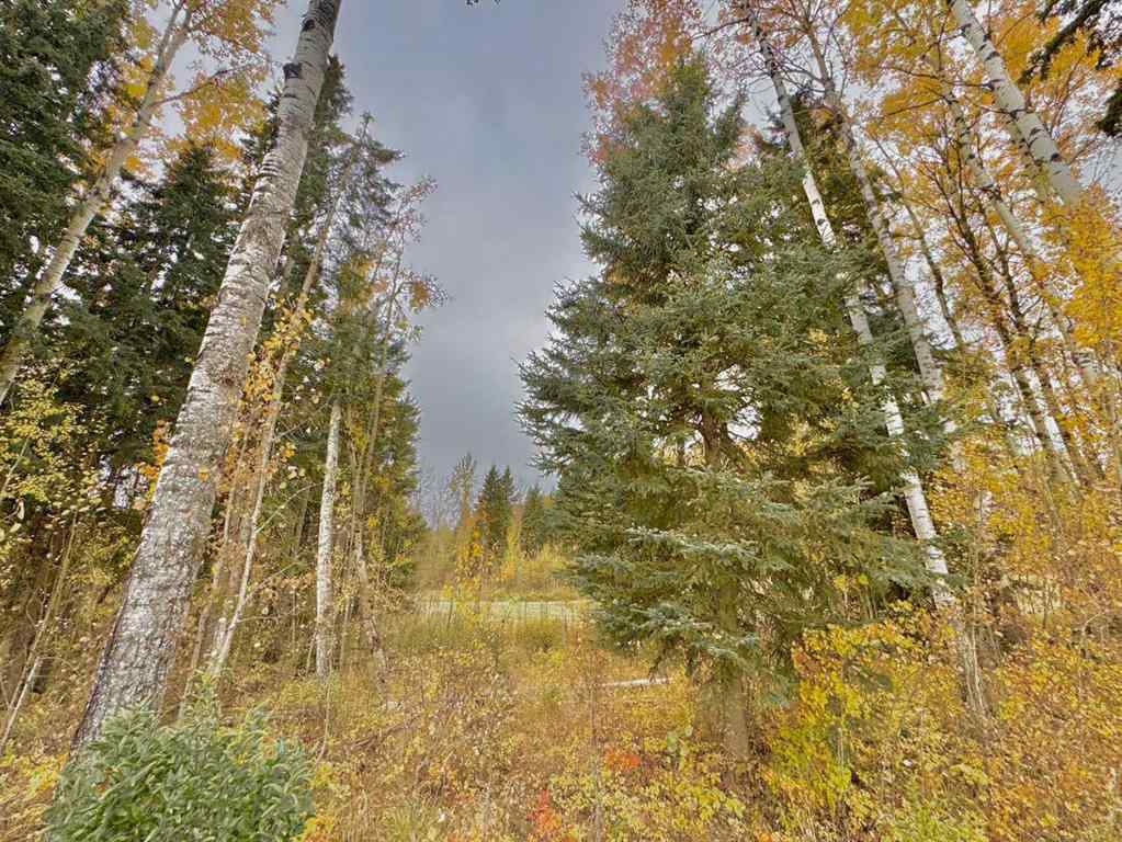MLS® A2264713 - 301 Valley View Drive  in Diamond Willow Estates Rural Clearwater County, Land