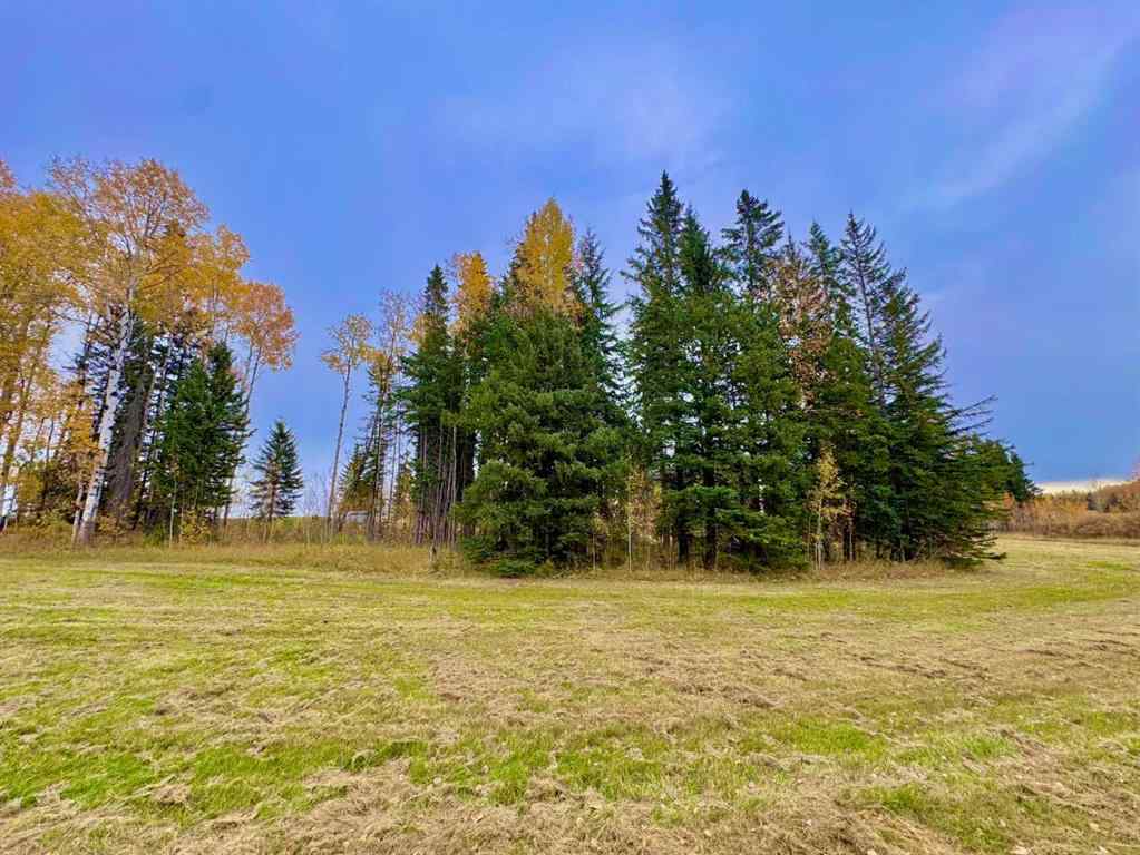 MLS® A2264713 - 301 Valley View Drive  in Diamond Willow Estates Rural Clearwater County, Land