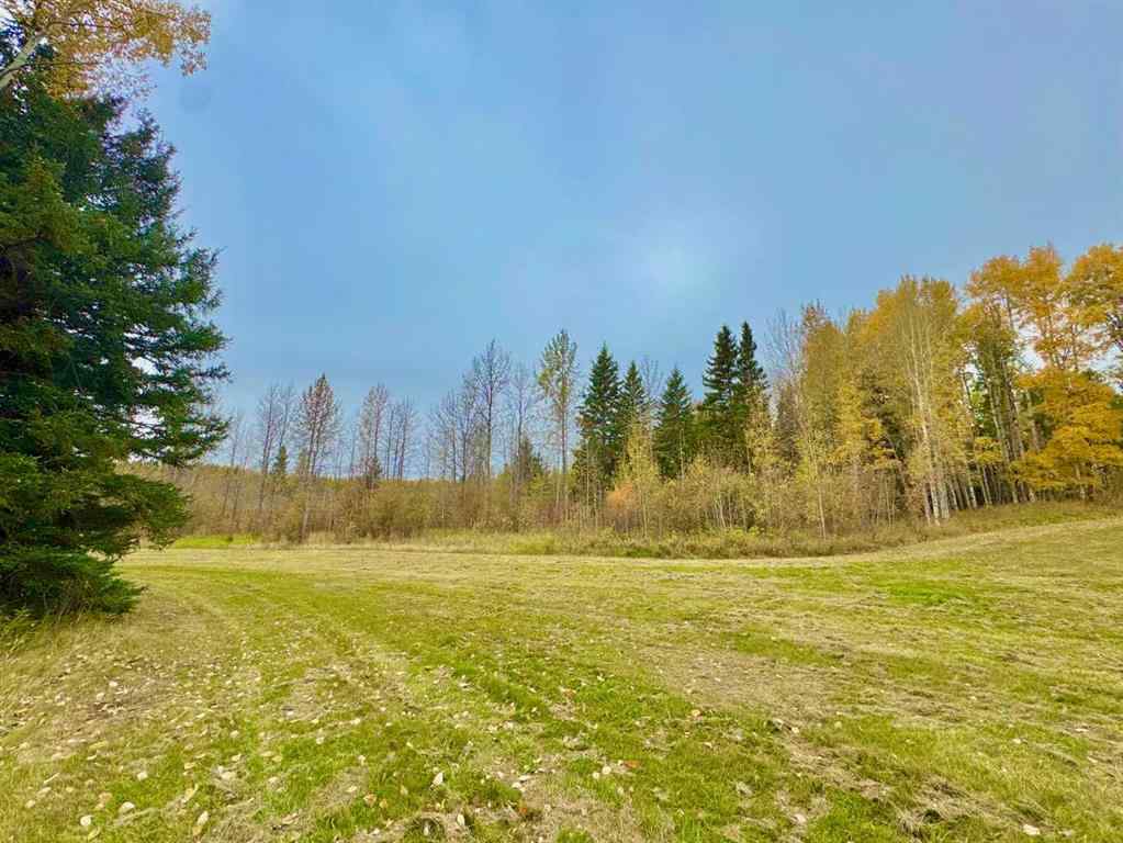 MLS® A2264713 - 301 Valley View Drive  in Diamond Willow Estates Rural Clearwater County, Land