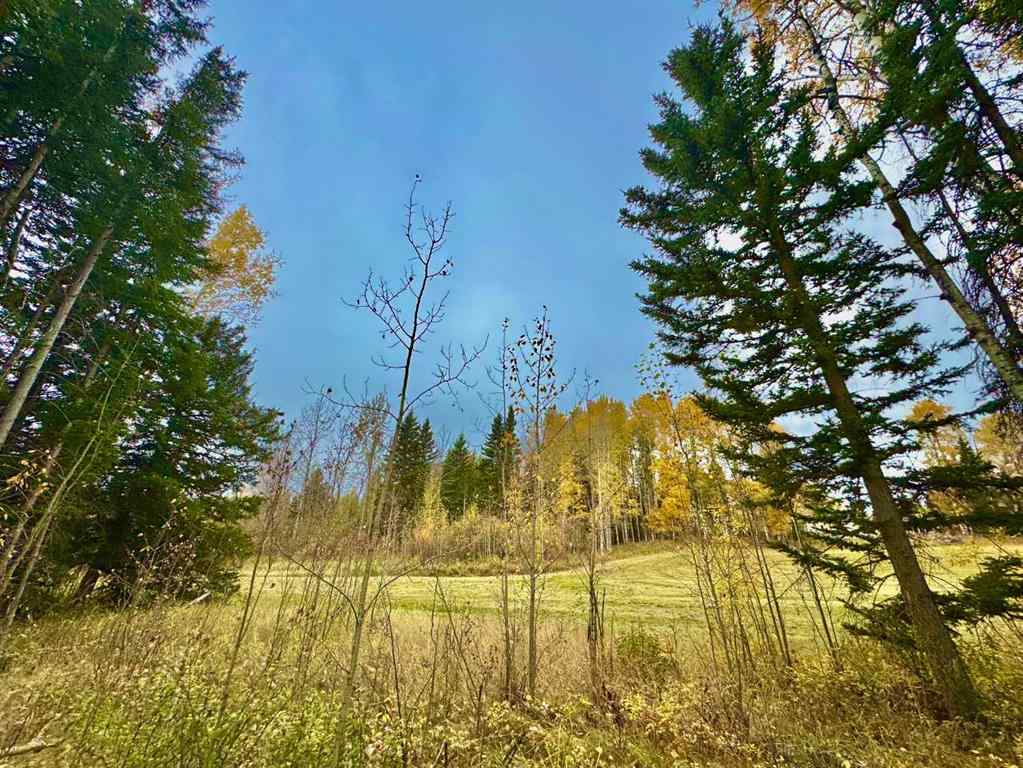 MLS® A2264713 - 301 Valley View Drive  in Diamond Willow Estates Rural Clearwater County, Land
