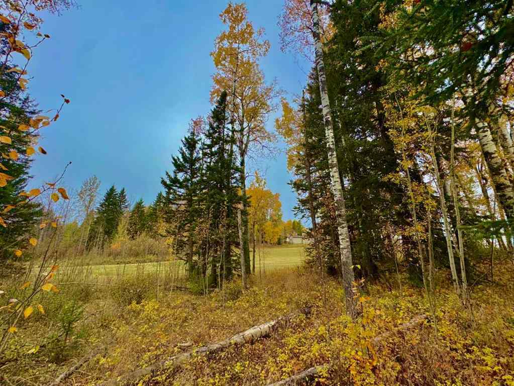 MLS® A2264713 - 301 Valley View Drive  in Diamond Willow Estates Rural Clearwater County, Land