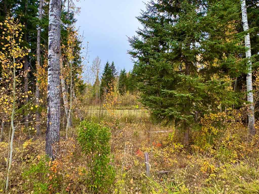 MLS® A2264713 - 301 Valley View Drive  in Diamond Willow Estates Rural Clearwater County, Land