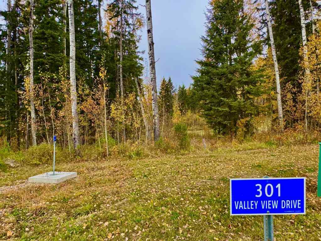 MLS® A2264713 - 301 Valley View Drive  in Diamond Willow Estates Rural Clearwater County, Land