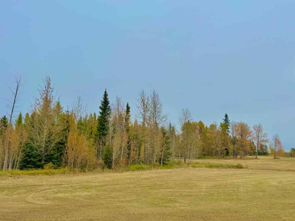MLS® A2264715 - 416 Valley View Close  in Diamond Willow Estates Rural Clearwater County, Land