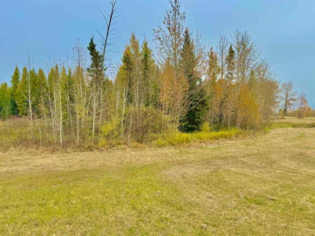 MLS® A2264715 - 416 Valley View Close  in Diamond Willow Estates Rural Clearwater County, Land
