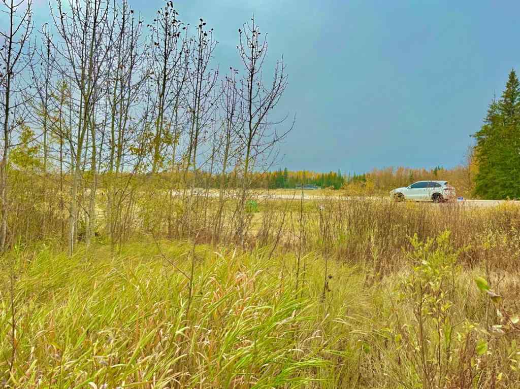 MLS® A2264715 - 416 Valley View Close  in Diamond Willow Estates Rural Clearwater County, Land