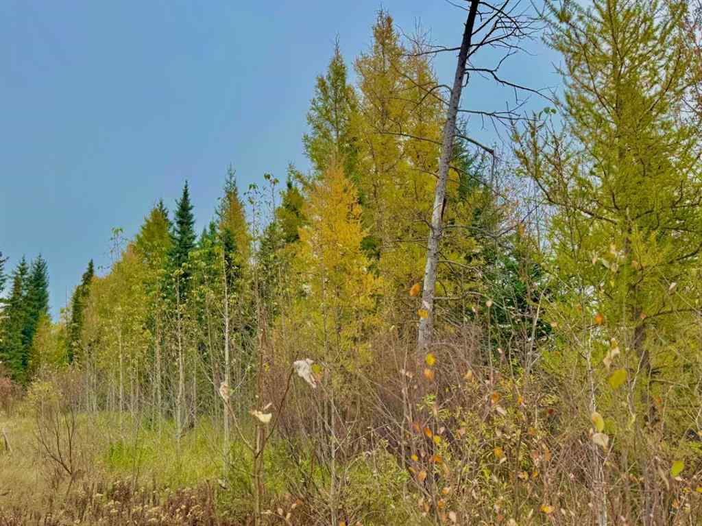 MLS® A2264715 - 416 Valley View Close  in Diamond Willow Estates Rural Clearwater County, Land