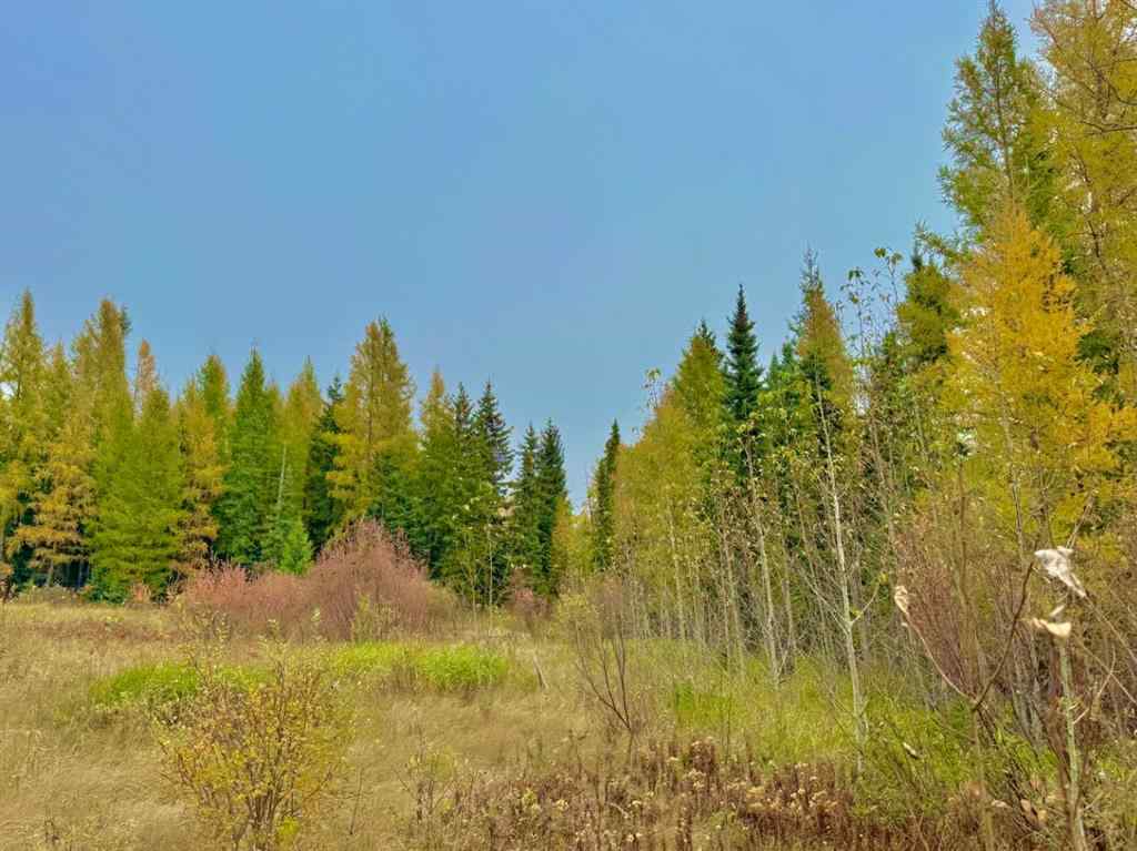 MLS® A2264715 - 416 Valley View Close  in Diamond Willow Estates Rural Clearwater County, Land